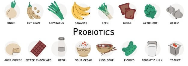 ওজন কমাতে probiotic
